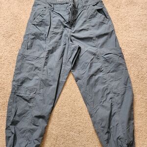 WomensCargo Pants in Slate Blue - American Eagle Outfitters-Size 12 short